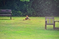 07 08 13_6574_edited-1